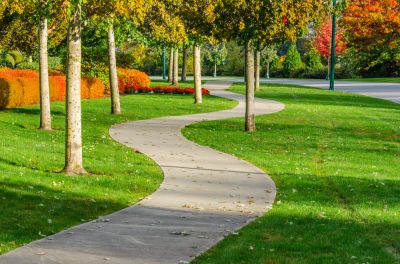 Improve the Safety of the Sidewalk!